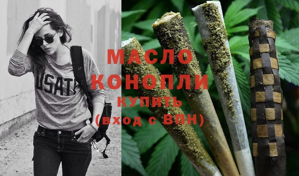гашик Верея