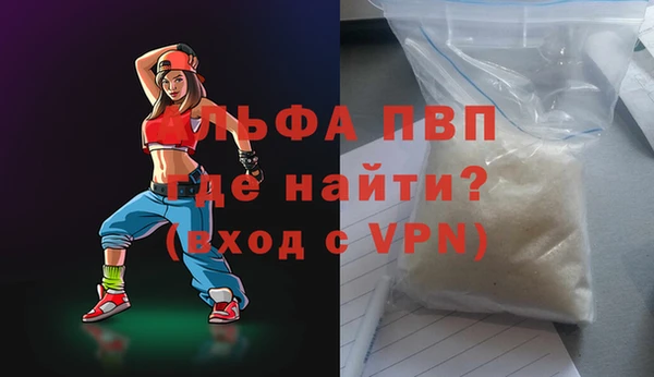 гашик Верея