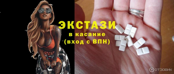 индика Слюдянка