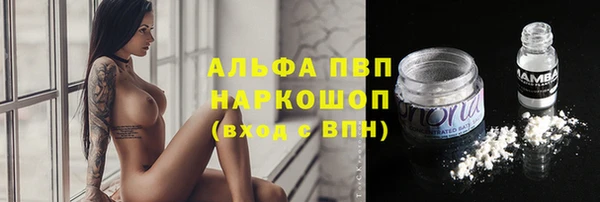 прущие грибы Верхнеуральск