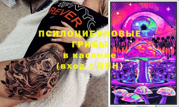гашик Верея