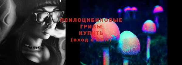 гашик Верея