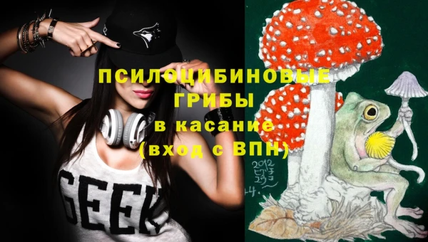 гашик Верея
