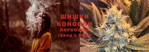 прущие грибы Верхнеуральск