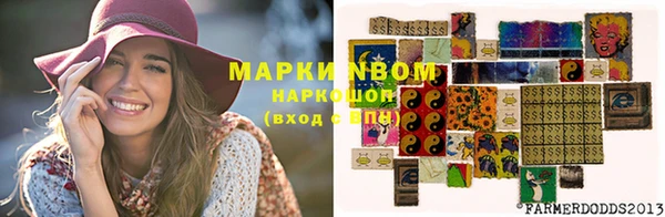 гашик Верея
