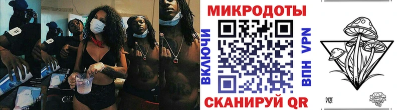 Псилоцибиновые грибы мухоморы  где найти   Лодейное Поле 